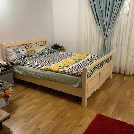 Apartment Apartament Piata Victoriei *