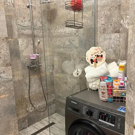 Piata Victoriei Apartment *